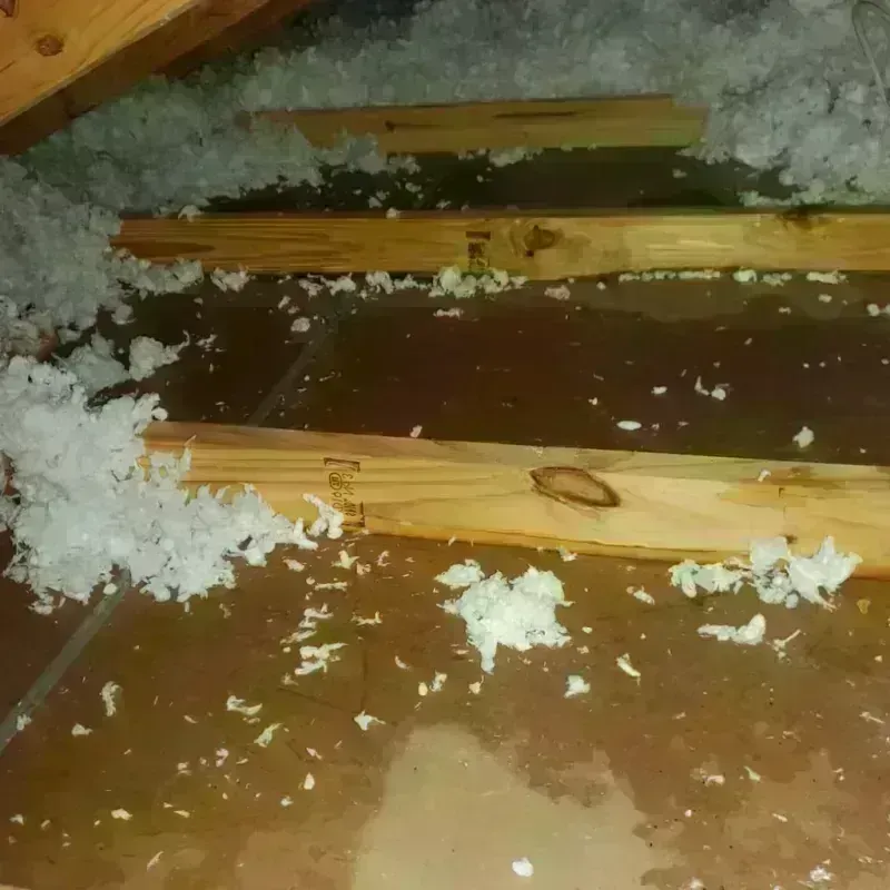 Attic Water Damage in Woodbury, NJ