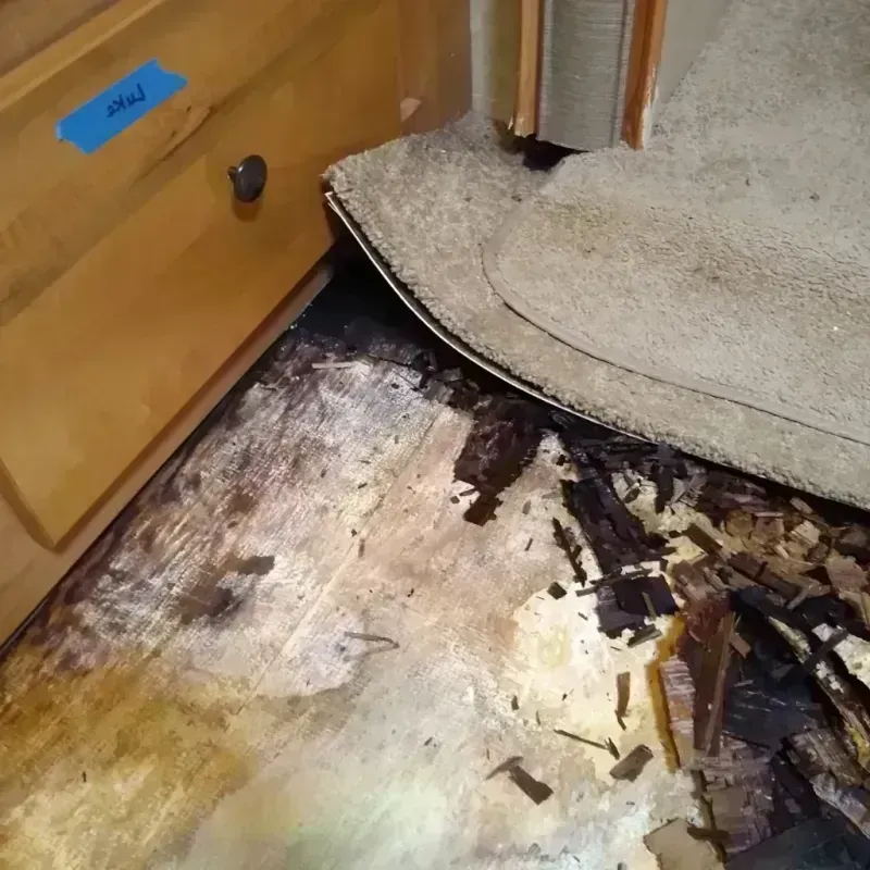 Best Wood Floor Water Damage Service in Woodbury, NJ